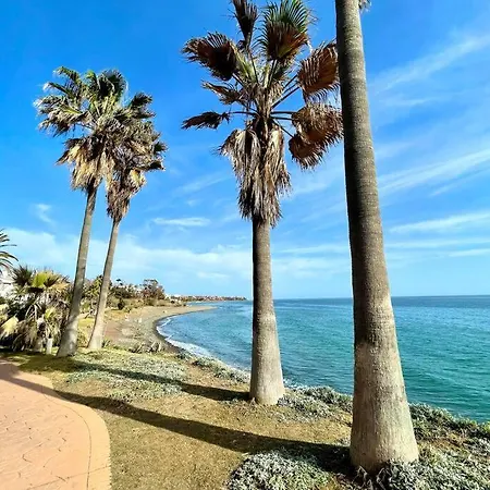 Apartment Blue Palm